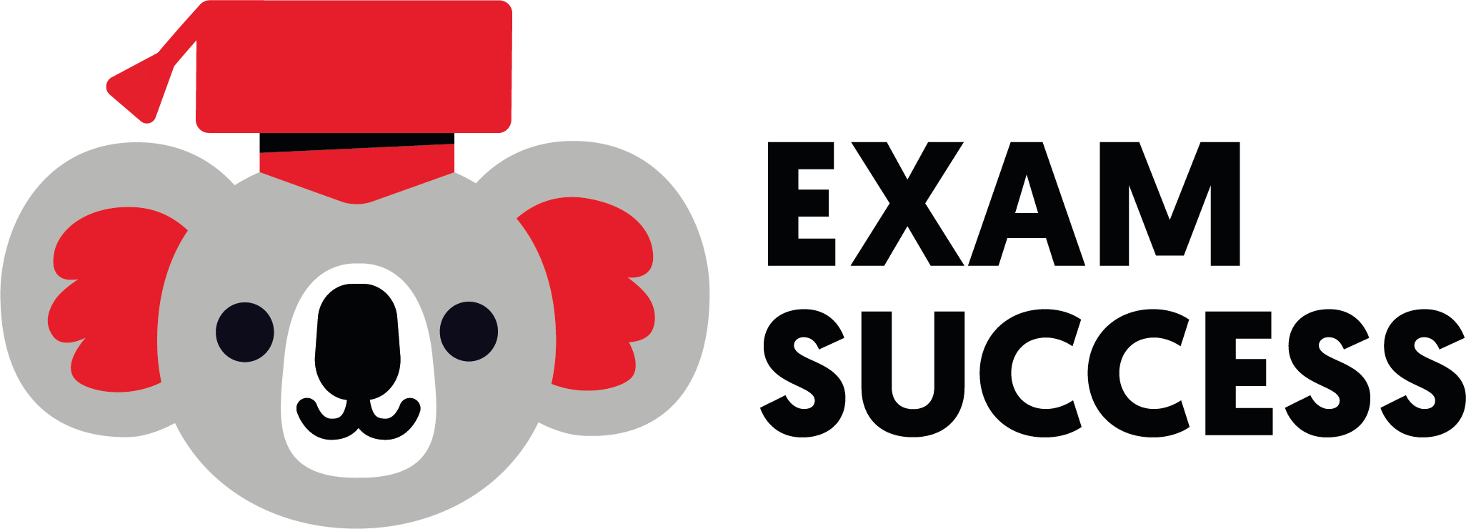 ExamSuccess
